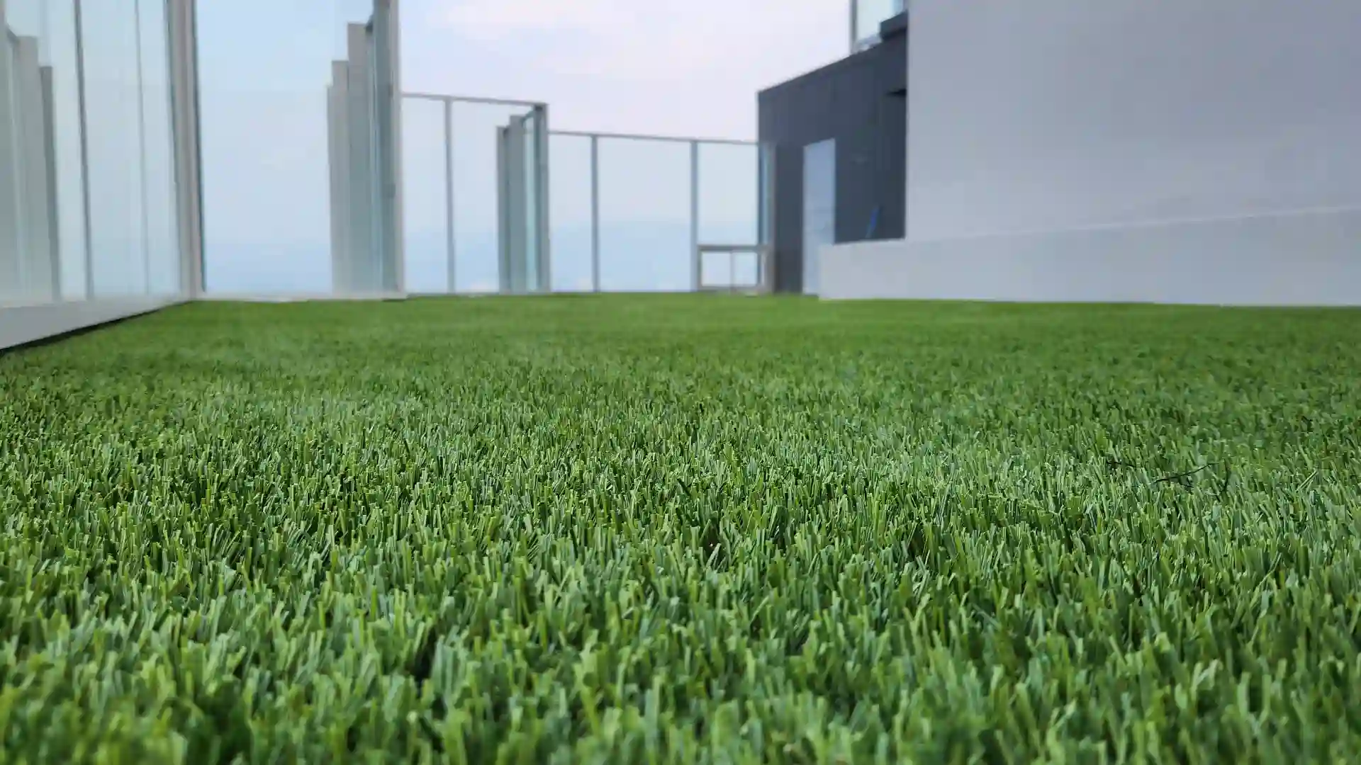 Rooftop Dog Park Created for Residents of Luxury High-Rise in Guatemala City